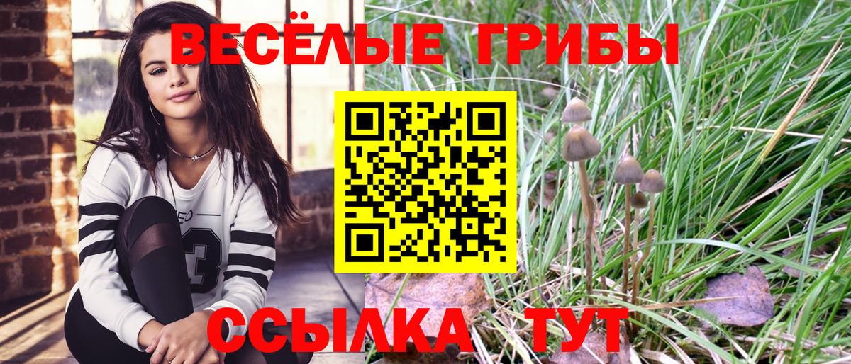Галлюциногенные грибы мицелий  Вход с VPN  Алушта 